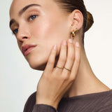Anillo Cúpula Slim | Oro